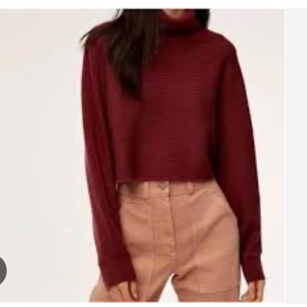 Aritzia Wilfred Free Naomi merino wool cropped sweater dolman sleeves size M - Picture 1 of 6